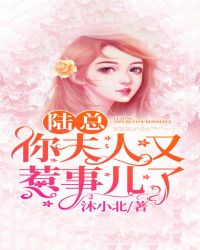 陆总,你夫人又惹事儿了