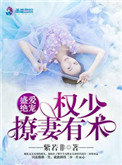 盛爱绝宠:权少撩妻有术