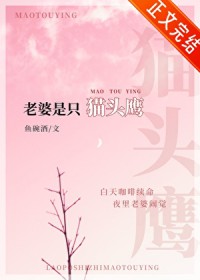 傲娇老婆是只猫头鹰