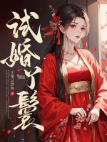 试婚丫鬟